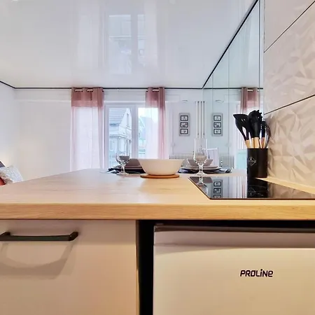 Le Cozy Urbain - Centre - Rbnb Apartment Colmar